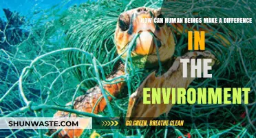 Empowering Change: How Humans Can Positively Impact Our Environment