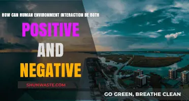 Human-Environment Interaction: Balancing Positive Impacts and Negative Consequences