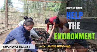Sustainable Actions: How Humans Can Protect and Restore Our Environment