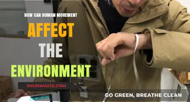 Human Movement's Impact: How Our Actions Shape the Environment