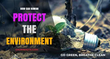 Sustainable Living: Simple Steps to Protect Our Planet and Future