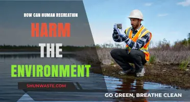 Recreation's Hidden Costs: How Human Activities Harm the Environment