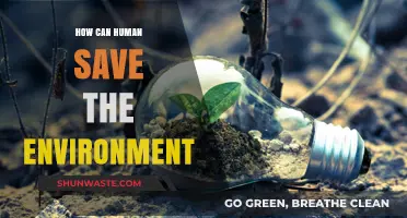 Sustainable Living: Simple Steps to Protect and Preserve Our Planet