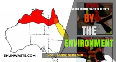 Environmental Influence: Shaping Human Traits and Behavior Over Time