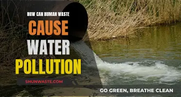 Human Waste: A Water Pollution Crisis