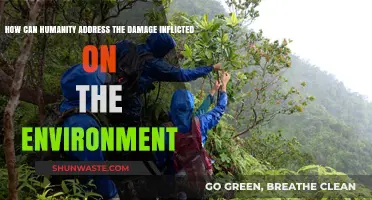 Healing Our Planet: Strategies to Reverse Environmental Damage