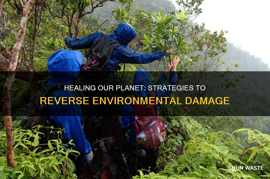 how can humanity address the damage inflicted on the environment