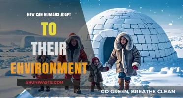 Adapting to Survive: Human Resilience in Changing Environments