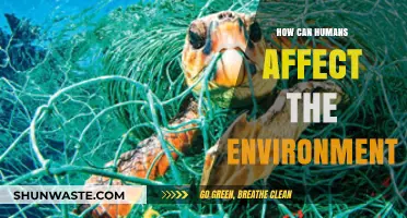 Human Impact on the Environment: Causes, Consequences, and Solutions