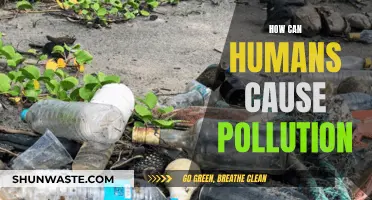 Human Activities: A Major Source of Pollution