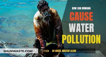 Human Activities: A Major Cause of Water Pollution