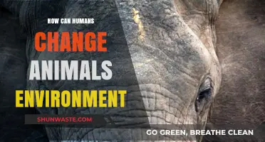 Human Impact: Transforming Animal Habitats and Ecosystems