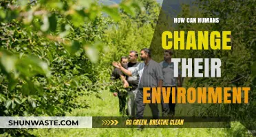 Humans Shaping Nature: Transforming Environments Through Actions and Innovations