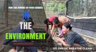 Sustainable Steps: How Humans Can Drive Positive Environmental Change
