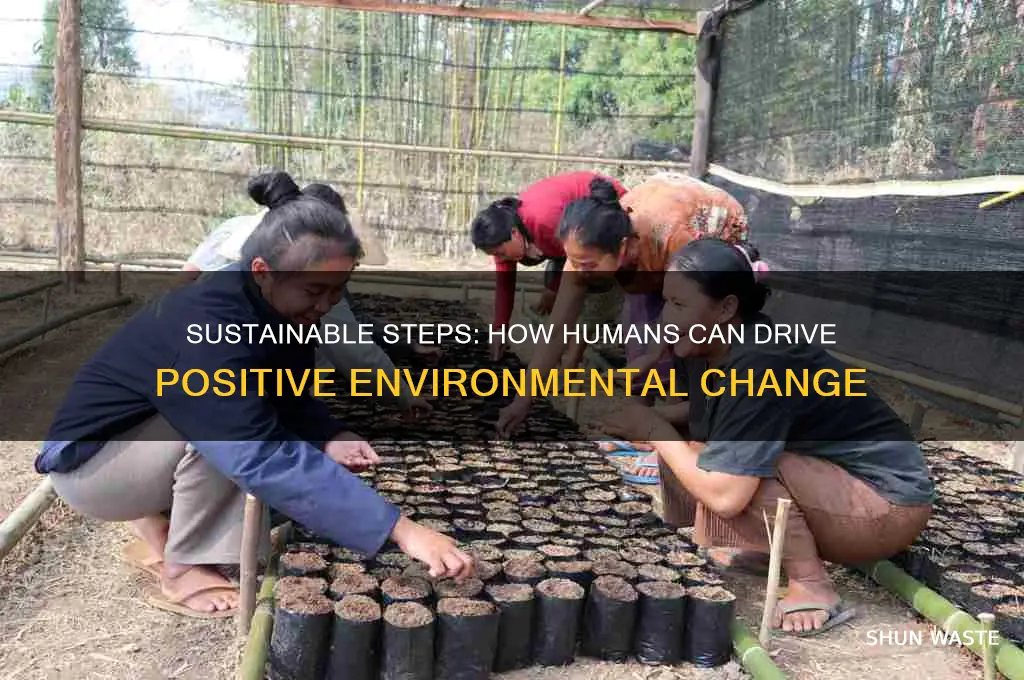how can humans do good changes in the environment