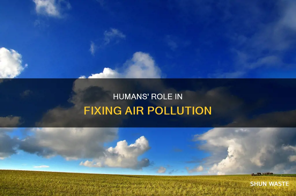 how can humans fix air pollution