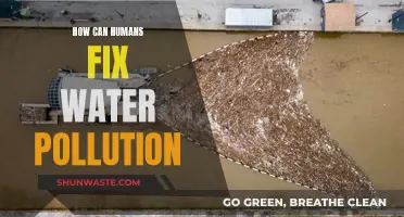 Reversing Water Pollution: Human Actions, Clean Water Results