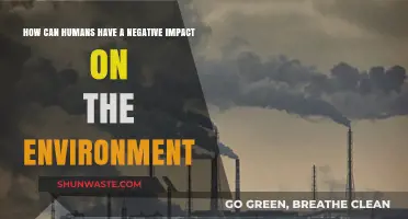 Human Actions Harming Nature: Understanding Our Environmental Impact