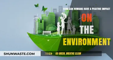 Sustainable Actions: How Humans Can Positively Transform Our Environment