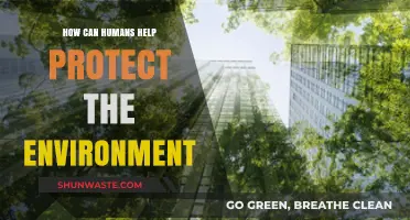 Sustainable Actions: How Humans Can Protect and Preserve Our Environment