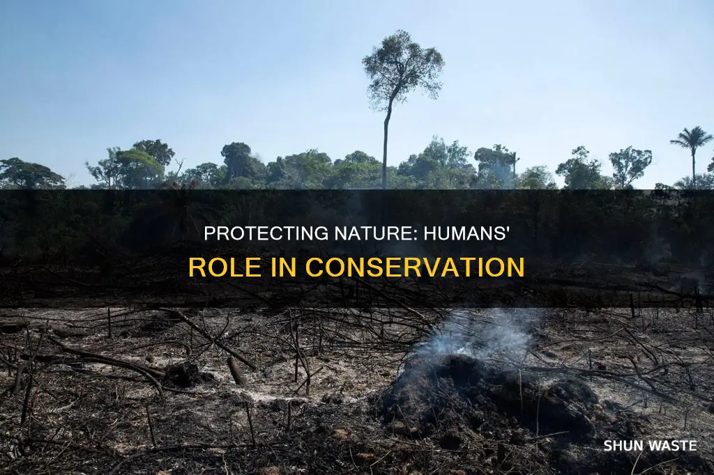 how can humans help reduce habitat loss fragmentation and pollution