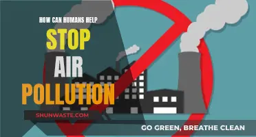 Humans' Role in Reducing Air Pollution