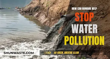 Ways for Humans to Combat Water Pollution