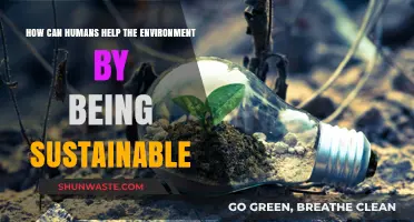 Sustainable Living: Simple Steps for Humans to Protect Our Planet