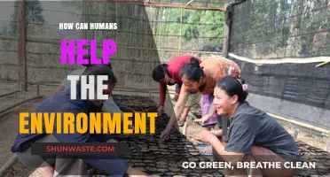 Sustainable Actions: How Humans Can Protect and Restore Our Environment