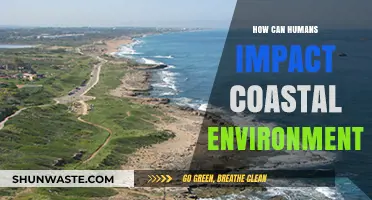 Human Actions and Their Impact on Coastal Ecosystems