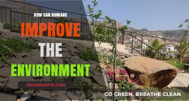 Sustainable Steps: Empowering Humans to Restore and Protect Our Environment