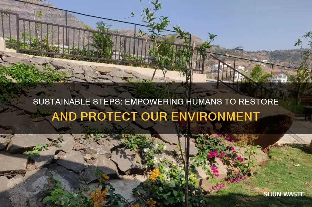 how can humans improve the environment