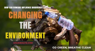 Human Actions Reshaping Ecosystems: Impact on Global Biodiversity Explained