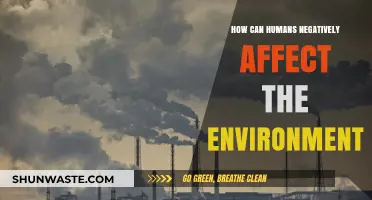 Human Actions and Their Devastating Impact on Our Environment