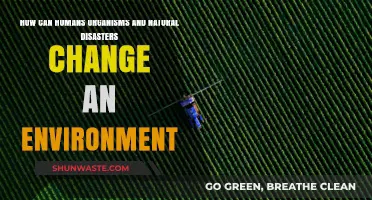 Human Impact, Organisms, and Disasters: Shaping Our Changing Environment