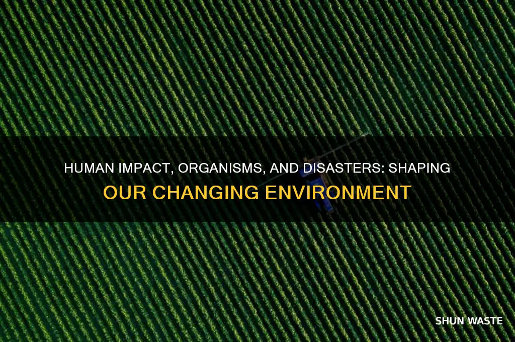 how can humans organisms and natural disasters change an environment