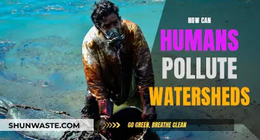 Human Impact: Polluting Our Watersheds