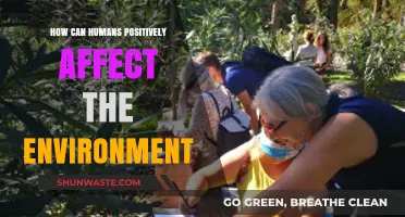 Sustainable Actions: How Humans Can Positively Impact the Environment