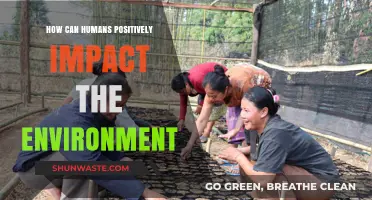 Sustainable Actions: How Humans Can Positively Impact the Environment