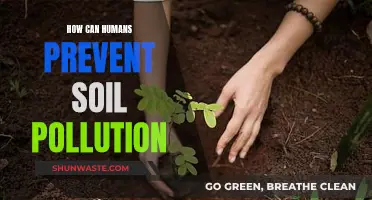 Preventing Soil Pollution: Human Actions, Healthy Soil