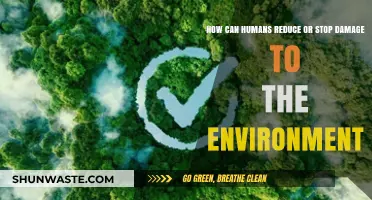 Sustainable Steps: How Humans Can Halt Environmental Damage Effectively