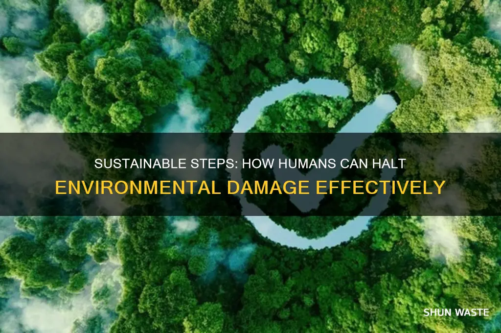how can humans reduce or stop damage to the environment