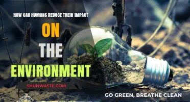 Sustainable Living: Practical Steps to Minimize Human Environmental Impact