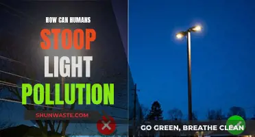 Light Pollution: Strategies for Humans to Reduce Their Impact