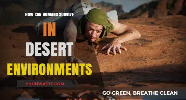 Mastering Desert Survival: Essential Strategies for Enduring Arid Climates