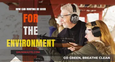 Sustainable Hunting Practices: Balancing Conservation and Ecosystem Health