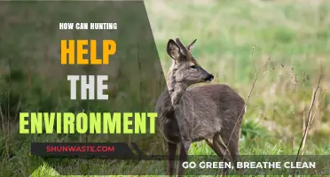 Sustainable Hunting Practices: How They Benefit and Restore Ecosystems