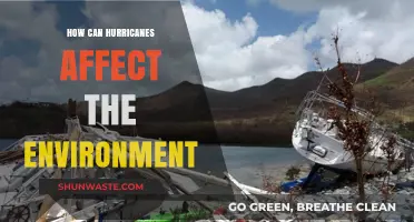 Hurricanes' Environmental Impact: Destruction, Ecosystem Changes, and Long-Term Effects