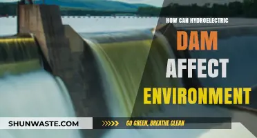 Hydroelectric Dams: Environmental Impacts and Ecosystem Disruptions Explained