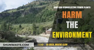 Hydroelectric Power's Environmental Impact: Uncovering Hidden Ecological Consequences
